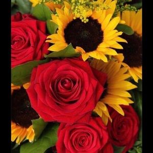 Meet your Posher, Neydi